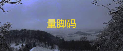 暗区突围透视科技量脚码